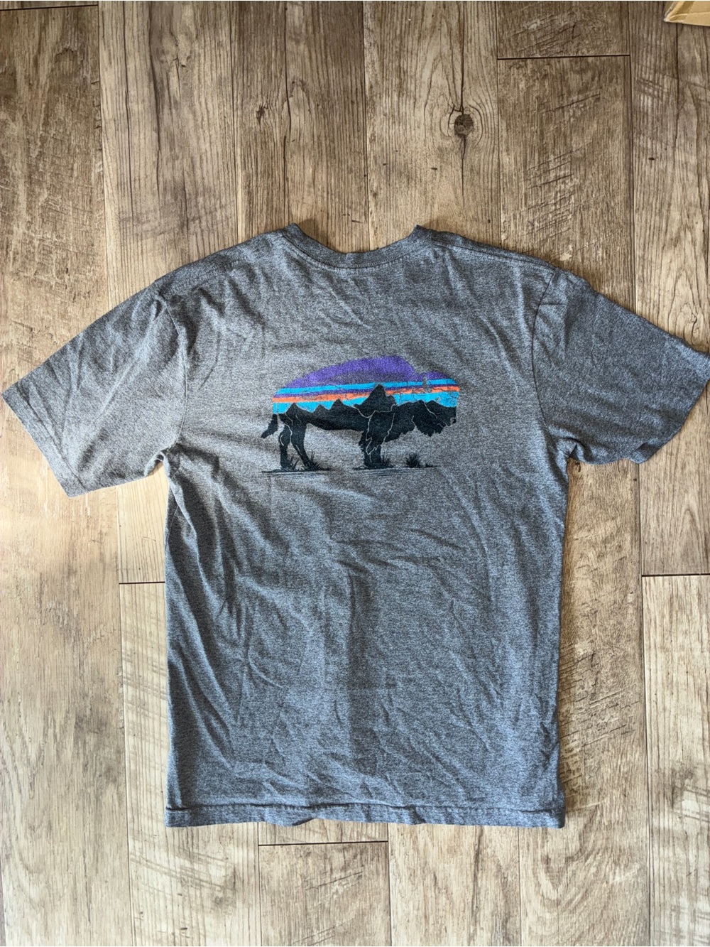 Patagonia bison tee shirt